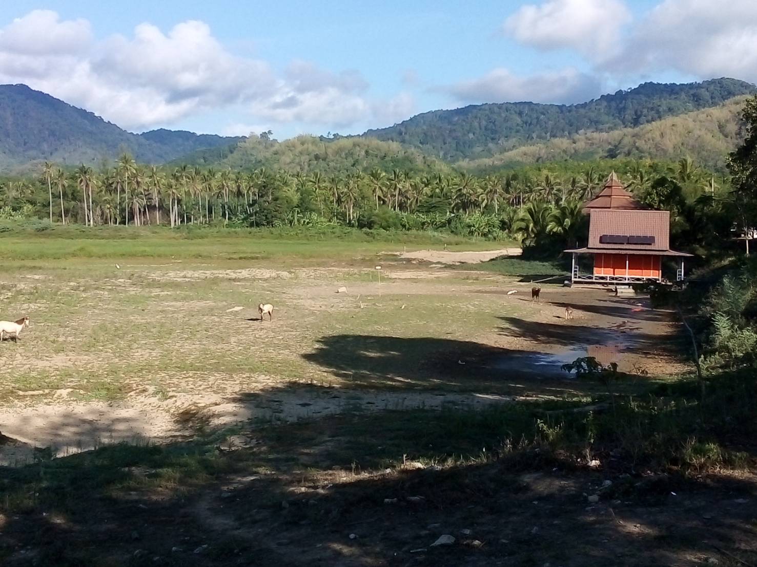 กำนันร่อนทองข้องใจสำนักสงฆ์ห้ามหน่วยงานรัฐขุดลอกอ่างวังน้ำเขียว