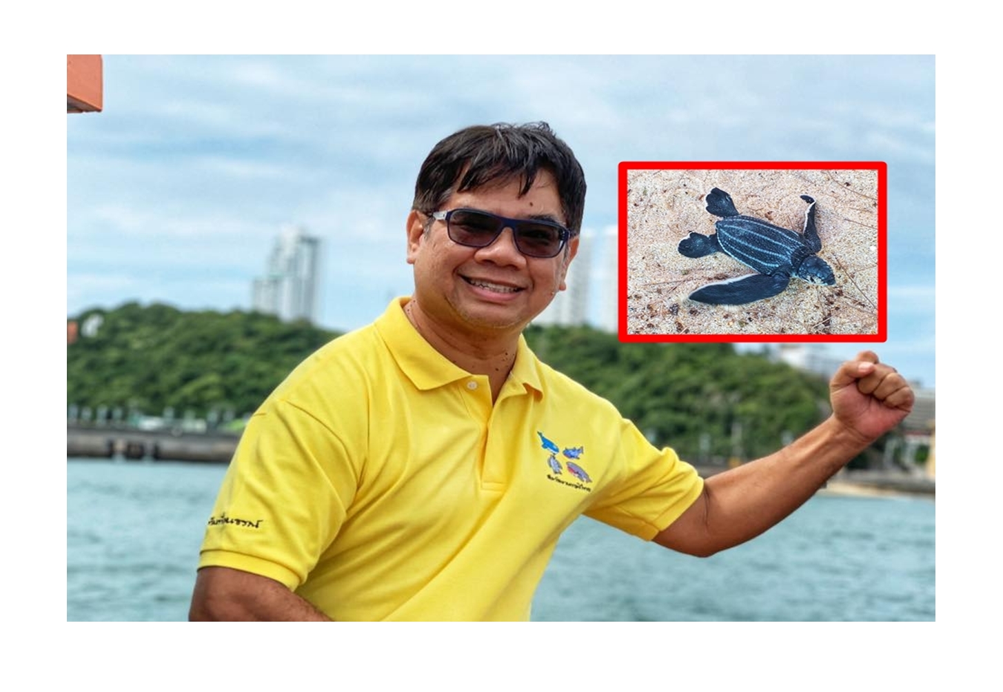 ชวนทำความรู้จักลูกเต่ามะเฟือง 