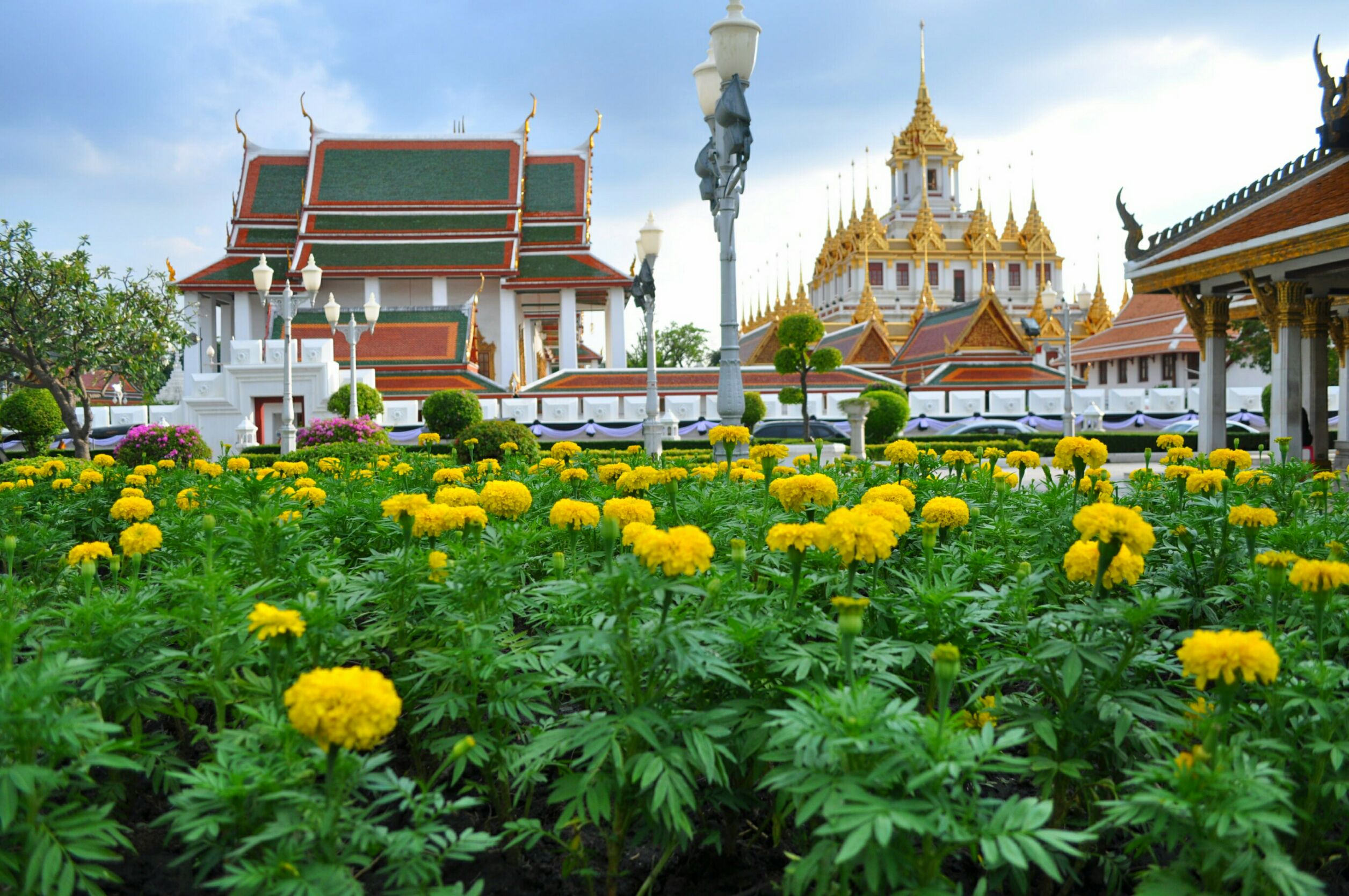 สำนักสิ่งแวดล้อม กรุงเทพมหานคร นำต้นดาวเรืองมาวางประดับตกแต่งบริเวณลานพลับพลาเจษฎาบดินทร์