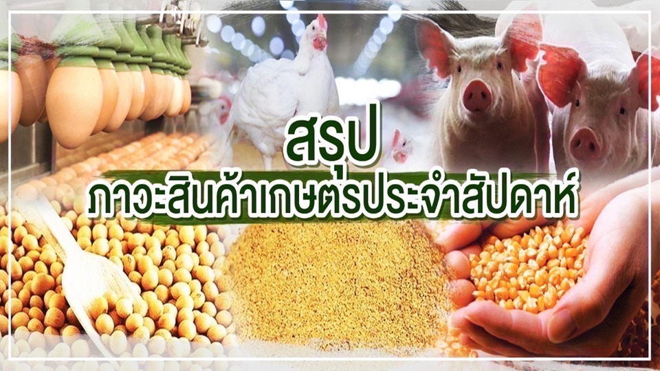 สรุปราคาสินค้าเกษตรสัปดาห์นี้ ปลาป่น-ข้าว-ไก่เนื้อขยับขึ้น ข้าวโพด กากถั่วเหลือง สุกร ไข่ไก่ทรงตัว