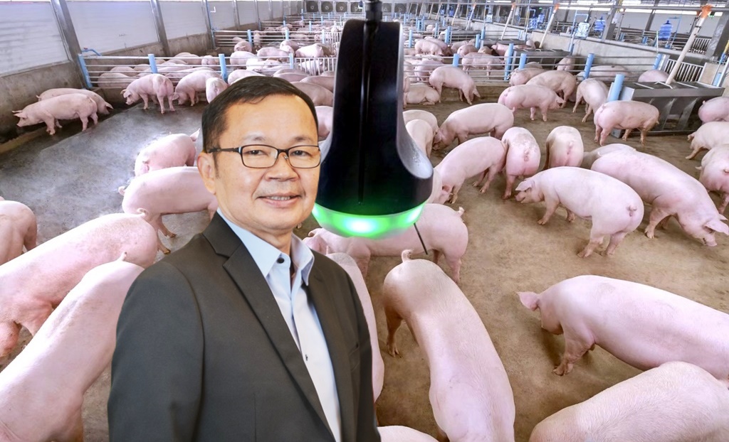 ซีพีเอฟ ย้ำเลี้ยงหมูตามมาตรฐานสากล ผู้บริโภคมั่นใจผ่านการตรวจสอบสารตกค้าง