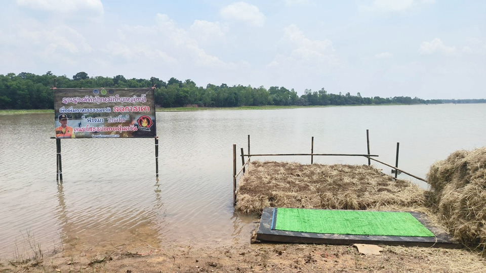 ยโสธรเดินหน้าทำปุ๋ยหมักในแหล่งน้ำ เพิ่มอาหารสัตว์น้ำ-ลดฝุ่น PM2.5